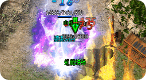新开传奇sf